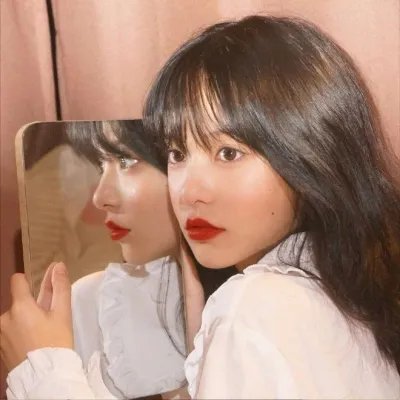 飞蛾日记